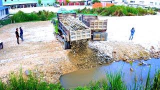 Start to complete the best project bulldozer push stone filling the flood