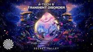 A-Tech & Transient Disorder - Secret Valley