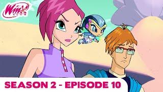 Winx Club - Season 2 Episode 10 - The Crypt of the Codex - [FULL EPISODE]