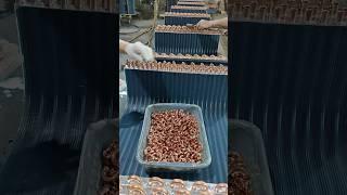 Copper Tube Expansion for AC Radiator Fins | ASMR So Satisfying