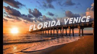 Florida: Best Beaches in Venice, Florida (2022)