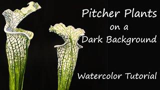 Painting a Dark Background in Watercolour - Pitcher Plants