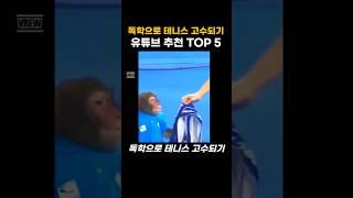 독학으로 테니스 고수되기 유튜브 추천 TOP5
