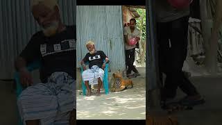 TOP FUNNIEST FAKE TIGER PRANK ON GRANDPA! | SAGOR BHUYAN