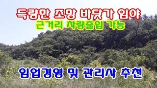 고흥군 부동산 임야 5천만원  / 도양읍 용정리 소재 득량만 바다가 조망되는 임야 11,802㎡(약3,570)