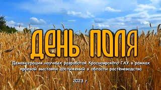 Научный видеоотчет о достижениях в области растениеводства «День поля – 2023» | Красноярский ГАУ