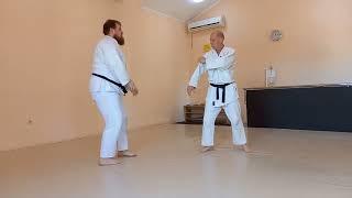 Обычное Айкибудо: кихон осаэ вадза (атака спереди) Ordinary Aikibudo: Kihon osae waza (front attack)