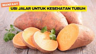 MANFAAT UBI JALAR BAGI KESEHATAN YANG PERLU DIKETAHUI