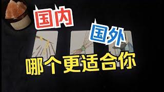 【塔羅牌占卜】呆在國內還是出國發展