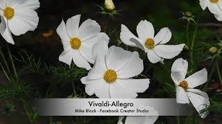 Vivaldi-Allegro - Mike Block