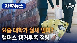 [자막뉴스] 요즘 대학가 월세 얼마? 캠퍼스 캥거루족 점령 / 채널A