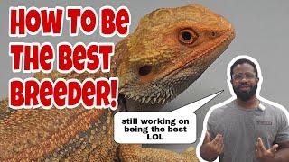 10 Things You Need To Know In 2025 Before Breeding Bearded Dragons