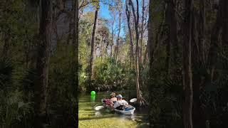 A beautiful morning paddle in January  #getupandgokayaking #clearkayaking #rainbowsprings