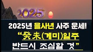 2025년 을사년 운세! 사주의 일주가 癸未(계미)일에 태어난 사람들의 돈복,금전운과 반드시 조심(?)해야 할 것들.