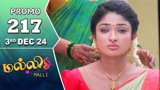 Malli Serial | Episode 217 Promo | 3rd Dec 24 | Nikitha | Vijay | Saregama TV Shows Tamil