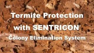 Royal Pest Sentricon Termites Colony Elimination