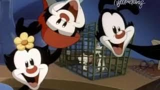 Animaniacs - Pinky and the Brain intro (Russian) [2014 dub by Boomerang]