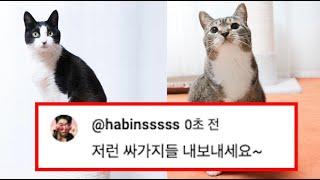 춘봉,첨지 당신이 몰랐던 7가지 사실