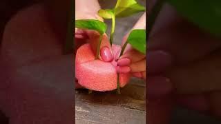 Here's a cool way to root plant cuttings