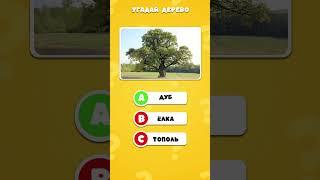  УГАДАЙ ПОРОДУ ДЕРЕВА ПО ФОТО! 3 ВАРИАНТА! #природа #квиз #деревья #викторина #угадайка