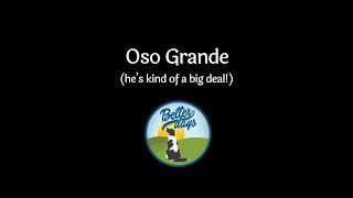 Oso Grande Playing