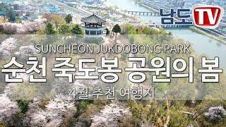 [순천여행] 순천 죽도봉 공원의 봄  Jukdobong park in Suncheon, Jeollanamdo, South Korea