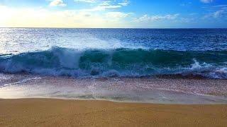 Ocean Waves Relaxation 10 Hours | Soothing Waves Crashing on Beach | White Noise for Sleep