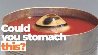 Sweden's Disgusting Food Museum