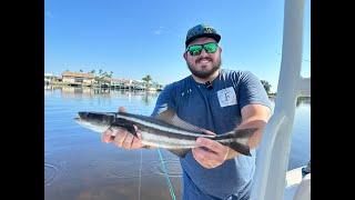 Fishing Adventures Florida Tarpon Springs making things happen.