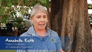 Mental Health Training Out Bush | RFDS SA/NT