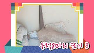 우럭8마리 뜨기-3