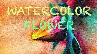 Watercolor flower || How to paint a flower with Mijello watercolors || Watercolor speedpaint