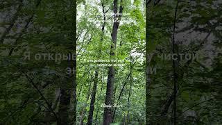 Аффирмации для Повышения Вибраций