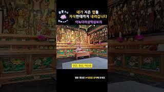 내가 지은 업들이 자식한테까지 내려갑니다