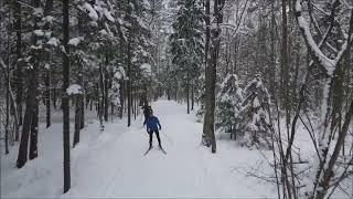 Видео с дрона. Прогулка на лыжах / Пироговский лесопарк