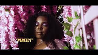 Tia Raye feat. Crown Vic - Perfect (Official Video)