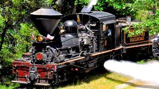 Yosemite Mountain Sugar Pine Steam Train