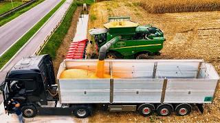 CORN HARVEST 2024 JOHN DEERE S790i + Capello Diamant