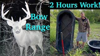 Water Holes For Deer | Best Way To Make A Food Plot Better