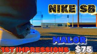 Nike SB Malor - 1St Impressions (Full Review 2 Come)