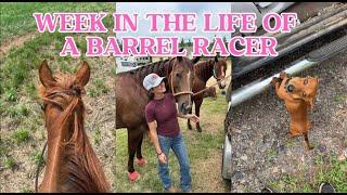 WEEK IN MY LIFE AT HOME: selling a horse, riding horses, + preparing for a barrel race