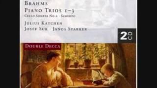 Brahms Trio op.8: 1st mvt., 2/2