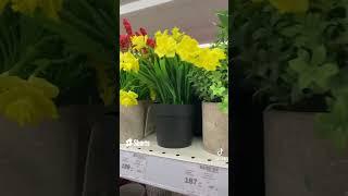 Боже  яка краса. Відділ ДЕКО в PROSTOR.  Ціни та знижки  Декор для дома та кухні