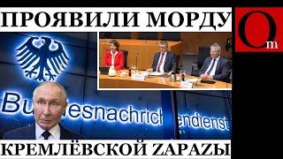 Доигрался путлер! Немецкая разведка открыла обществу глаза на опасность РФ