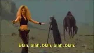 Shakira Whenever Wherever Parody -