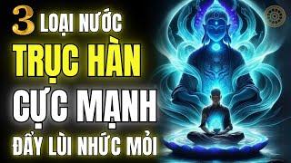 3 Loại Nước Trục Hàn Cực Mạnh - Bí Quyết Đẩy Lùi Đau Lưng Vai Gáy