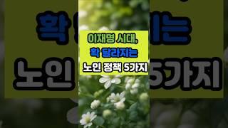 이재명 시대, 확 달라지는 노인 정책 다섯가지  #명언 #긍정의말 #긍정적마인드 #좋은글 #지혜