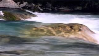 Alexander Osipov Live Stream
