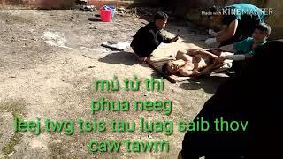 khám tử thi phua saib hauv nrog cev