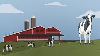 Semex Animated Explainer Video